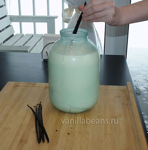 стручок ванили в молоко